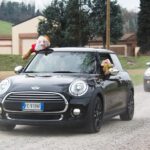 Minimo2018-7347