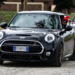 Minimo2018-7369